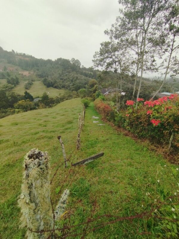 RIONEGRO SAJONIA: lote independiente de 17.950 m² con viabilidad y planos para subdivisión de 3 matrículas. A 10 minutos del Aeropuerto JMC - Image 14