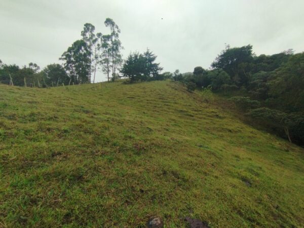 RIONEGRO SAJONIA: lote independiente de 17.950 m² con viabilidad y planos para subdivisión de 3 matrículas. A 10 minutos del Aeropuerto JMC - Image 12