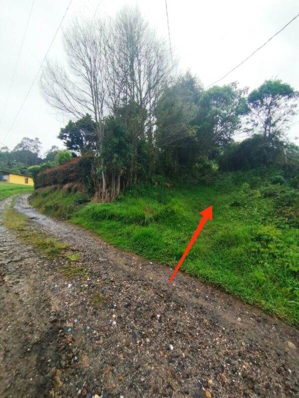 RIONEGRO SAJONIA: lote independiente de 17.950 m² con viabilidad y planos para subdivisión de 3 matrículas. A 10 minutos del Aeropuerto JMC - Image 8