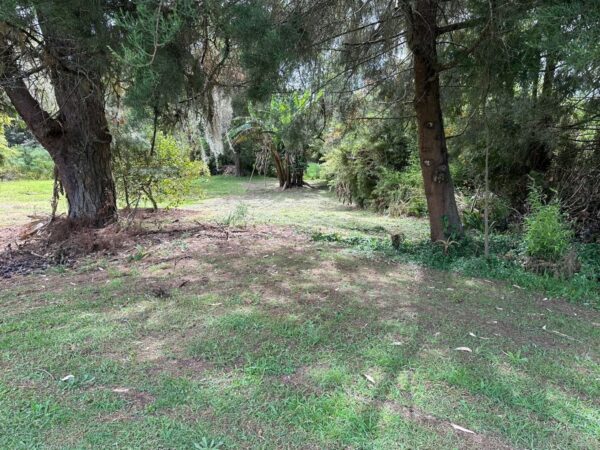 RIONEGRO LLANOGRANDE: lote independiente muy cerca al Club Campestre, con un terreno de 30.000 m² completamente planos - Image 11
