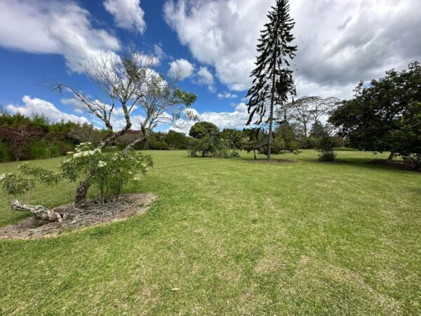 RIONEGRO LLANOGRANDE: lote independiente muy cerca al Club Campestre, con un terreno de 30.000 m² completamente planos - Image 5