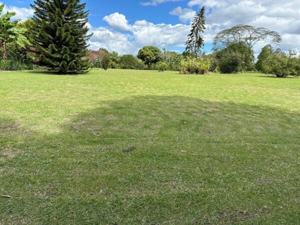 RIONEGRO LLANOGRANDE: lote independiente muy cerca al Club Campestre, con un terreno de 30.000 m² completamente planos - Image 12
