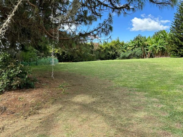 RIONEGRO LLANOGRANDE: lote independiente muy cerca al Club Campestre, con un terreno de 30.000 m² completamente planos - Image 17