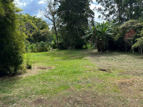 RIONEGRO LLANOGRANDE: lote independiente muy cerca al Club Campestre, con un terreno de 30.000 m² completamente planos - Image 7