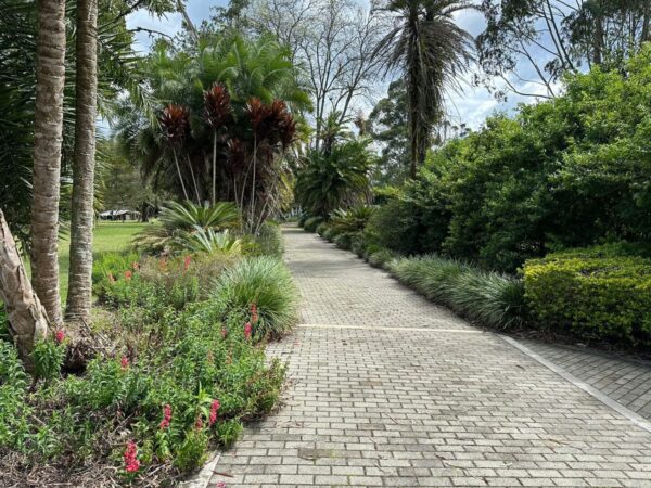 RIONEGRO LLANOGRANDE: lote independiente muy cerca al Club Campestre, con un terreno de 30.000 m² completamente planos - Image 16
