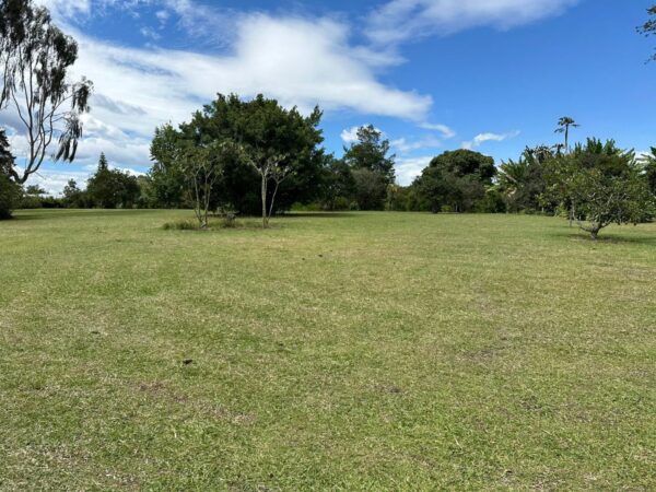 RIONEGRO LLANOGRANDE: lote independiente muy cerca al Club Campestre, con un terreno de 30.000 m² completamente planos - Image 6