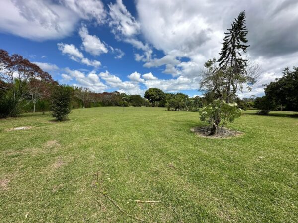 RIONEGRO LLANOGRANDE: lote independiente muy cerca al Club Campestre, con un terreno de 30.000 m² completamente planos - Image 9