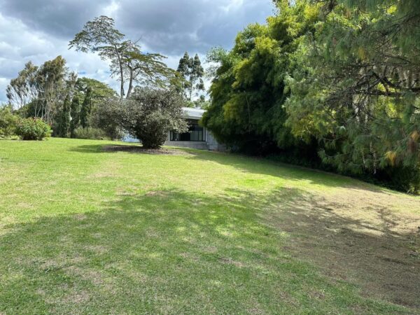 RIONEGRO LLANOGRANDE: lote independiente muy cerca al Club Campestre, con un terreno de 30.000 m² completamente planos - Image 8