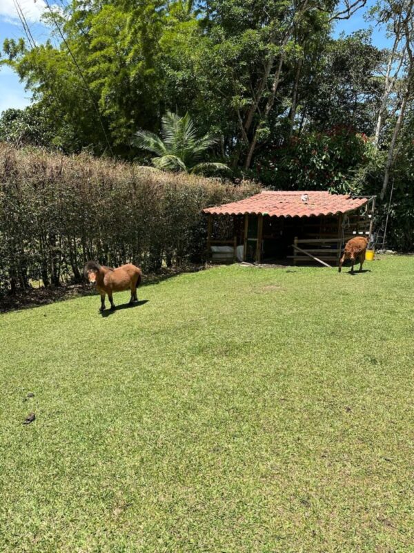 RIONEGRO LLANOGRANDE CLUB CAMPESTRE: casa campestre independiente de 450m² construídos y un terreno plano de 4,221 m² - Image 22