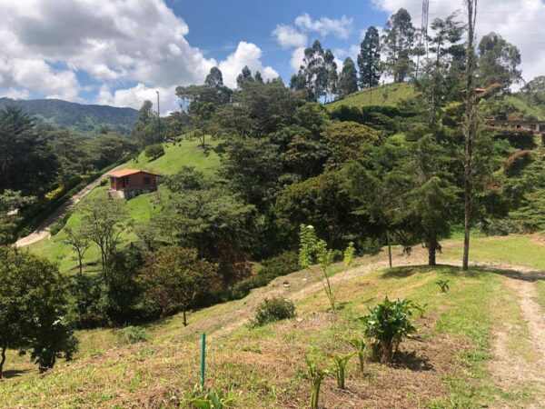 EL SANTUARIO: finca independiente con 3 casas modernas y un terreno de 4,221 m². con frente sobre la autopista Medellín Bogotá - Image 3