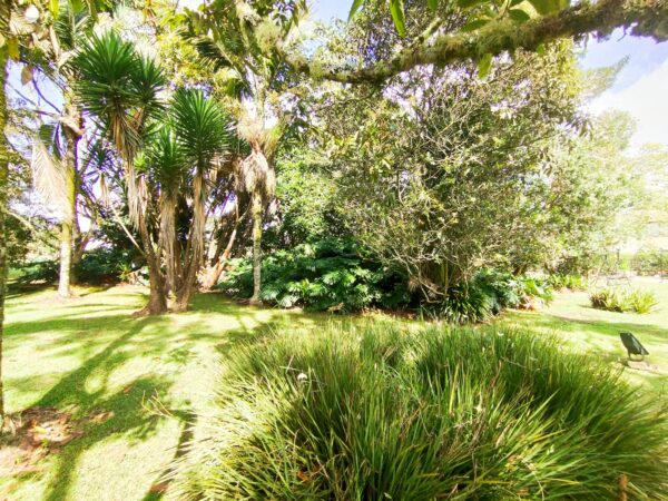 RIONEGRO LLANOGRANDE: casa campestre de 550 m2 con un terreno de 3.965 m² completamente planos y rodeados de jardín🌱🪴 - Image 13