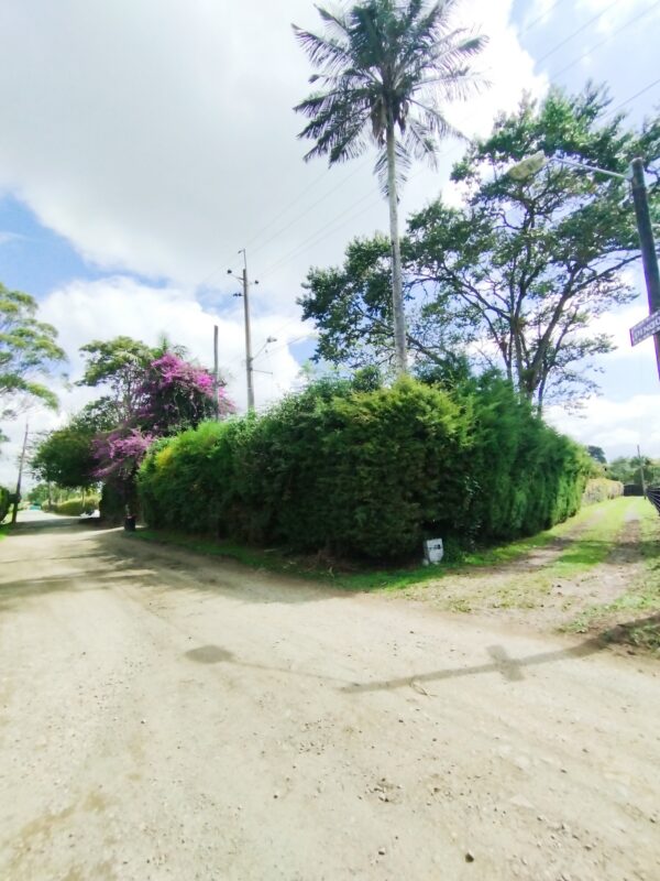 RIONEGRO LLANOGRANDE: casa campestre de 550 m2 con un terreno de 3.965 m² completamente planos y rodeados de jardín🌱🪴 - Image 42