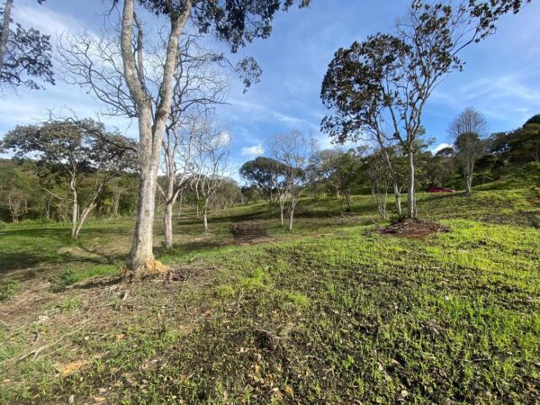 SAN ANTONIO LA CEJA: Cesión de derechos de lote en parcelación, con nacimiento de agua y mucha privacidad.