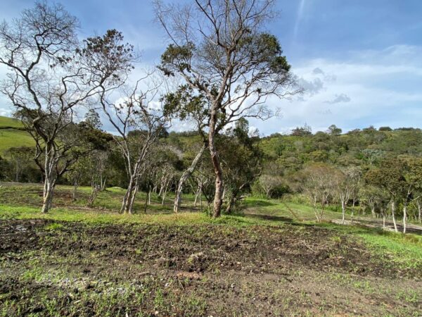 SAN ANTONIO LA CEJA: Cesión de derechos de lote en parcelación, con nacimiento de agua y mucha privacidad. - Image 6