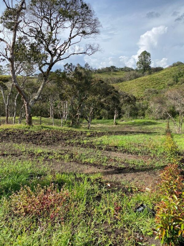 SAN ANTONIO LA CEJA: Cesión de derechos de lote en parcelación, con nacimiento de agua y mucha privacidad. - Image 5