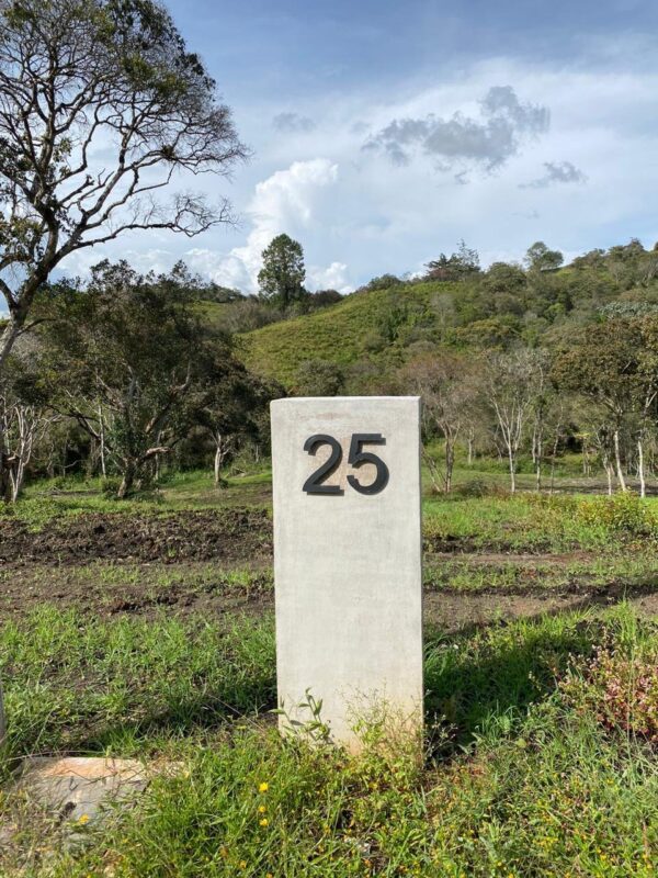SAN ANTONIO LA CEJA: Cesión de derechos de lote en parcelación, con nacimiento de agua y mucha privacidad. - Image 2