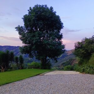 EL RETIRO: NAZARETH Finca productiva con casa antigua, agua propia con nacimiento y arroyo