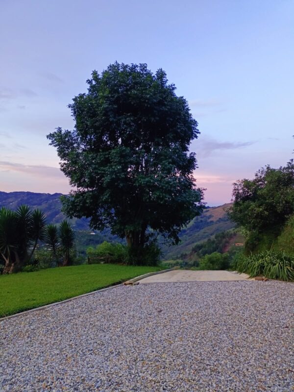 EL RETIRO: NAZARETH Finca productiva con casa antigua, agua propia con nacimiento y arroyo - Image 2