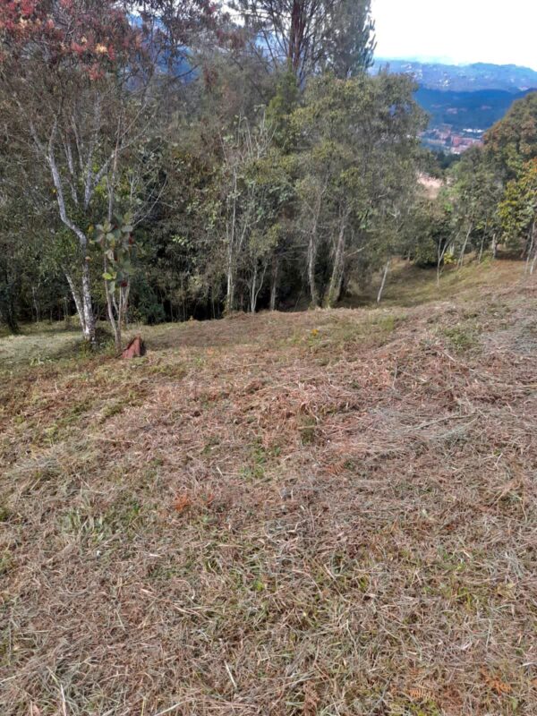 EL RETIRO: Lote en exclusiva parcelación con vista espectacular en zona central y posibilidad de Subdivisión - Image 11