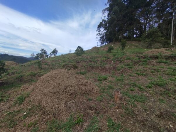 EL RETIRO DON DIEGO: lote de 11.100 m² en parcela privada con vista panorámica hacia La Represa de La Fé. - Image 14