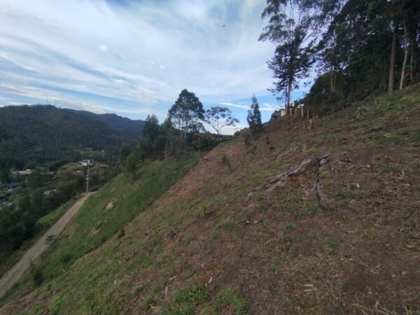 EL RETIRO DON DIEGO: lote de 11.100 m² en parcela privada con vista panorámica hacia La Represa de La Fé. - Image 11