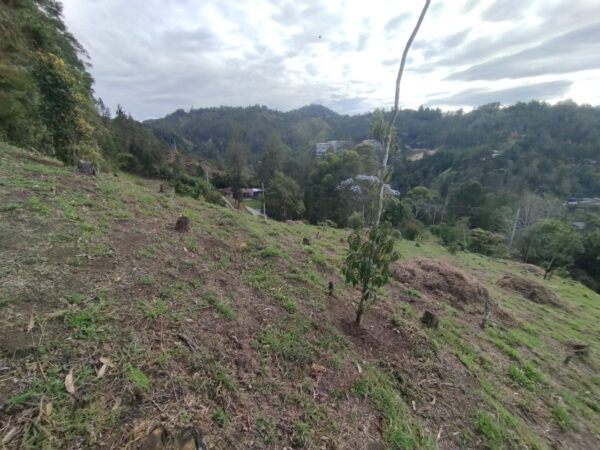 EL RETIRO DON DIEGO: lote de 11.100 m² en parcela privada con vista panorámica hacia La Represa de La Fé. - Image 10