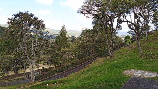 EL RETIRO: finca en parcelación sector La Guija, un lugar cercano para desconectarse a 10 minutos del casco urbano - Image 19