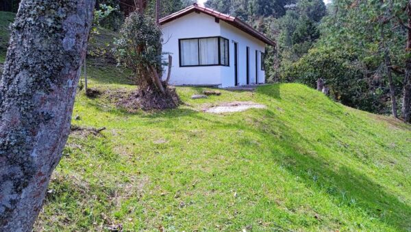 EL RETIRO: finca en parcelación sector La Guija, un lugar cercano para desconectarse a 10 minutos del casco urbano - Image 28
