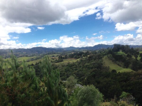 EL RETIRO: finca en parcelación sector La Guija, un lugar cercano para desconectarse a 10 minutos del casco urbano - Image 18