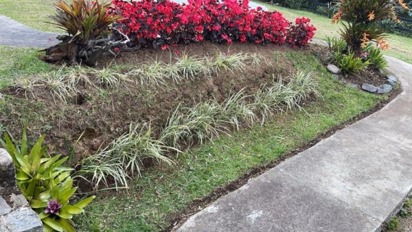 EL RETIRO: finca en parcelación sector La Guija, un lugar cercano para desconectarse a 10 minutos del casco urbano - Image 22