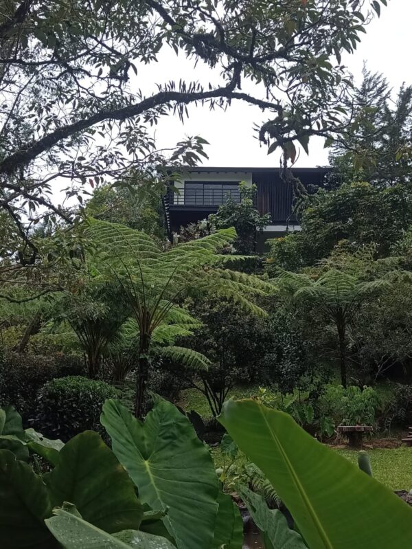 ARRIENDA RIONEGRO: finca independiente a 7 minutos del Aeropuerto JMC - Image 15