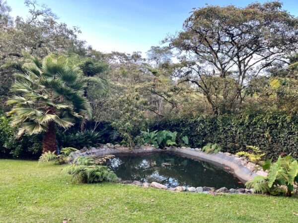 ARRIENDA RIONEGRO: finca independiente a 7 minutos del Aeropuerto JMC - Image 20